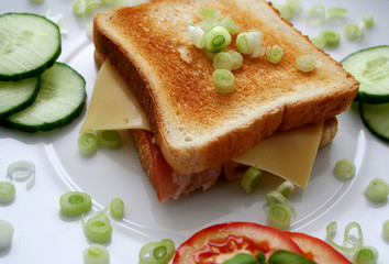 sandwich