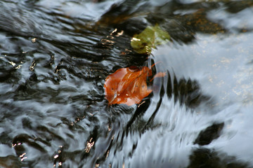 Herbst am Fluss
