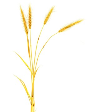 bl&eacute;