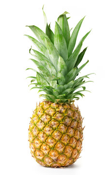 Pineapple is isolated on a white background