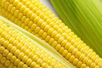 Fresh corn vegetable