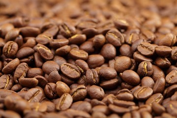 coffee beans