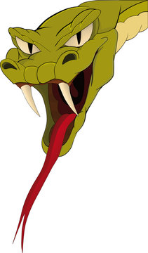 Snake