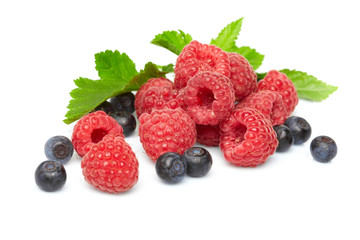berries on white background
