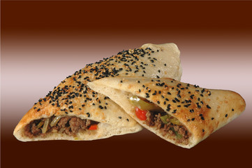 Teigtasche mit Fleisch