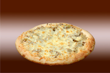 Pizza mit käse und Thunfisch