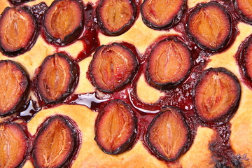 Plum Pie in close up
