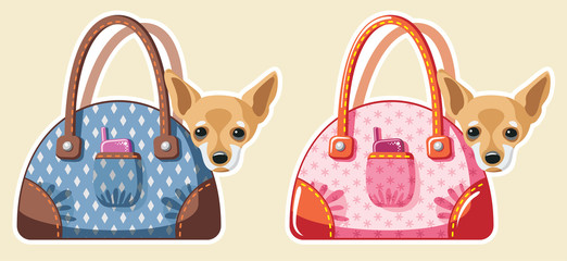 dogs in bags