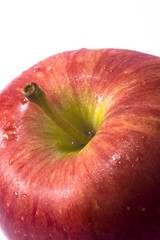 Red ripe apple on a white background