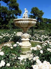 roseraie