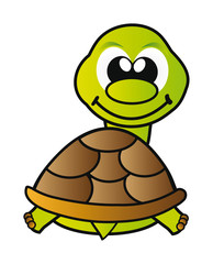turtle isolated on white