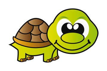 vector turtle isolated on white