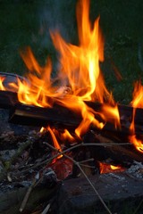 Fototapeta premium Feuer