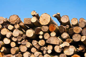 Holzstapel, stack of wood