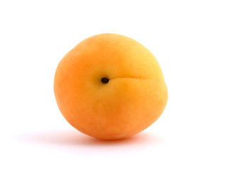 apricot