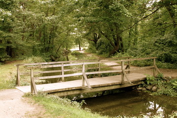 Fototapeta na wymiar quaint wooden bridge