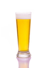 glass of beer on a white background