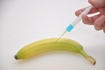 Genbanane