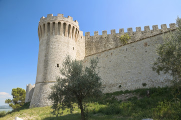 Fototapeta na wymiar Lion Castle. Castiglione del Lago. Umbria.
