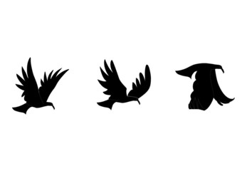 Vector illustration of bird silhouette