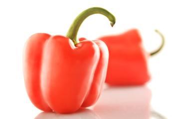 isolated bell pepper paprika