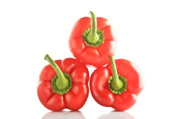 isolated bell pepper paprika