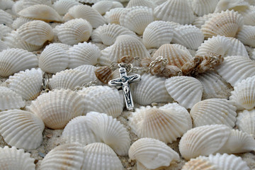 Rosenkranz auf einem Muschelhintergrund