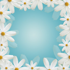 White daisy beautiful frame on blue background