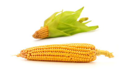 Corn
