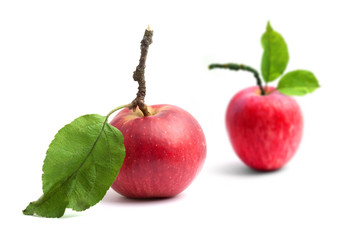 Apples