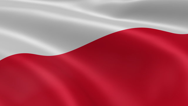 Polish flag in the wind