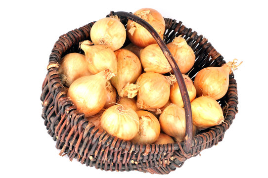 Le panier d'oignons