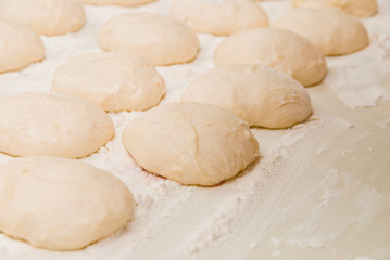 Fototapeta na wymiar Dough for the patties