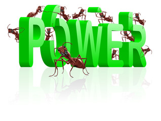 ants building power and strenght