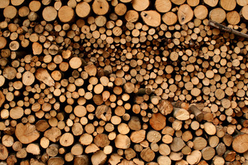 geometrie del legno