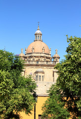 Catedral de Jerez entre naranjos