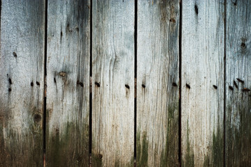 Grunge wood of plank texture