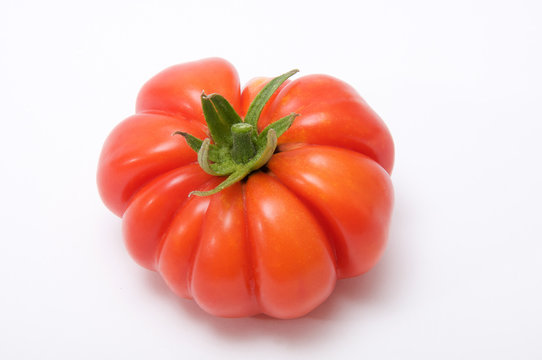 pomodoro costoluto verdura solanacea