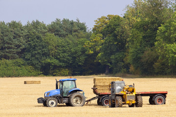 Fototapeta premium collecting straw bales