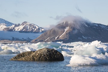 Arctic landscape - sea, mountains, ice