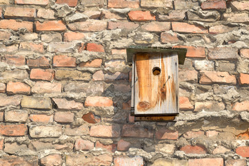 starling-house
