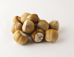 hazelnut