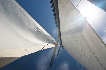 Obraz premium yacht sails