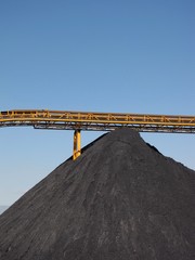 CARBON