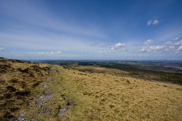 Landscape since the top of a hill