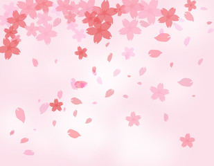 桜のバックグラウンド