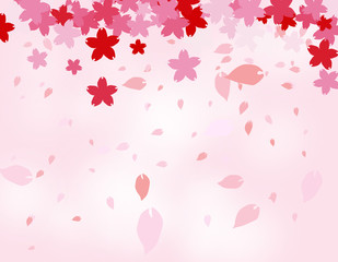 桜のバックグラウンド