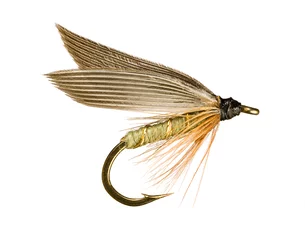 Rideaux occultants Pêcher Grey Winged Olive Wet Trout Fishing Fly Isolated on White