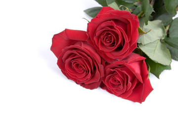 Beautiful bouquet of roses