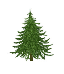 christmas tree